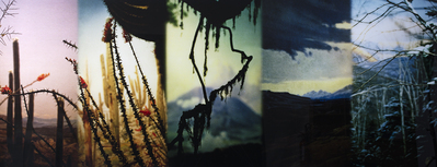 1981_1990\1990.0112.jpg; 1990.0112; ;